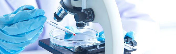 Course-grade-10-images-01