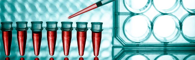 Course-grade-11-images-06