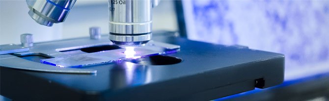 Course-grade-12-images-06