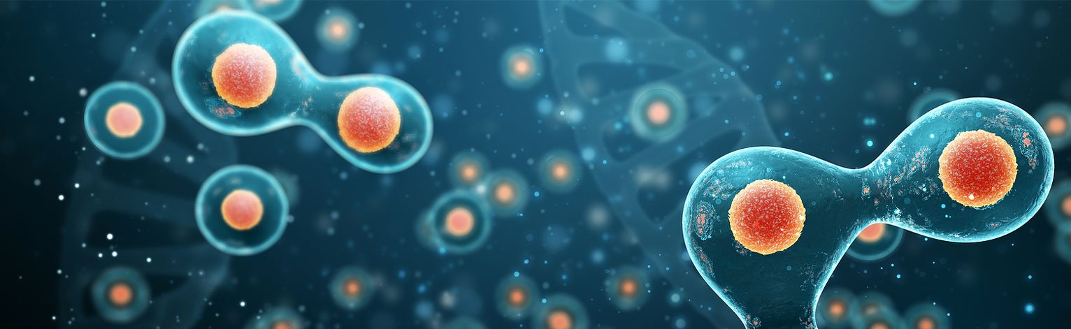 courses-grade-12-07-Biology-banner courses-grade-12-07-Biology-banner